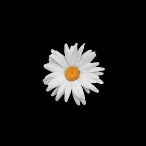 男裸检jiji㊙️无短裤网站
